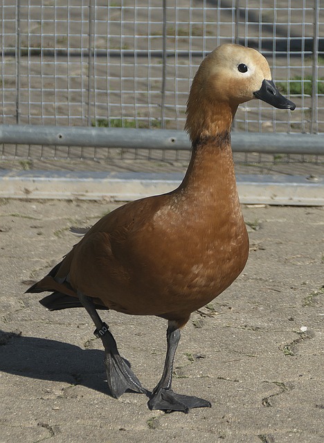 尔滨与其他